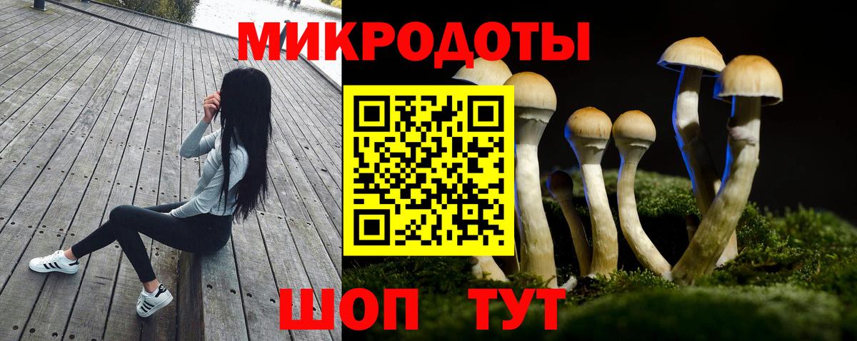 Вятские Поляны  Псилоцибиновые грибы Magic Shrooms  Псилоцибиновые грибы ЛСД  наркотики  Вход с VPN 